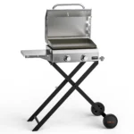 Onlyfire BBQ Gas Griddle 2-Burner with Foldable Cart